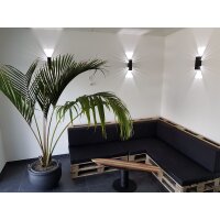 SpiceLED Wandleuchte | ShineLED-6 Black Edition | 2x3W weiß | Schatteneffekt | High-Power LED Wandlampe